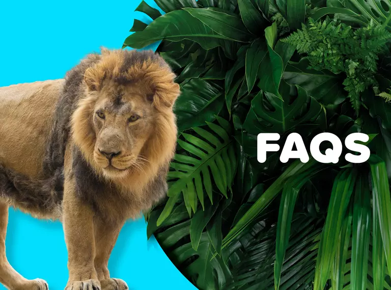 Zoo Membership FAQs