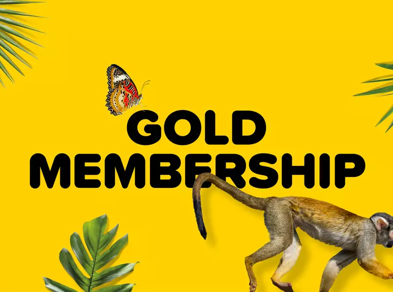 Gold Zoo Membership