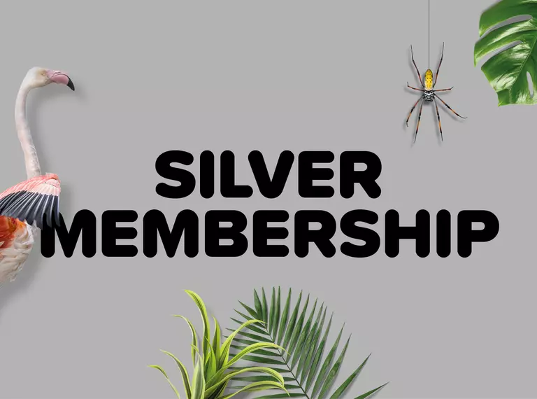 Silver Zoo Membership