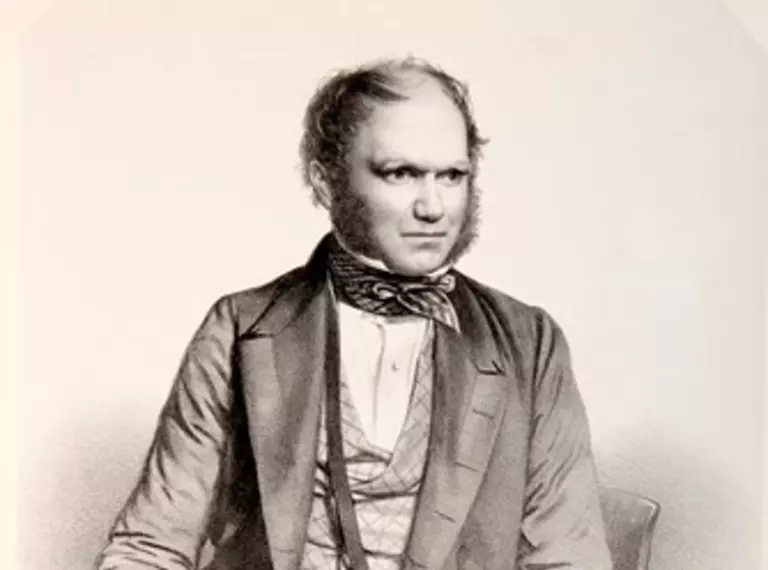 Portrait drawing of a young Charles Darwin 