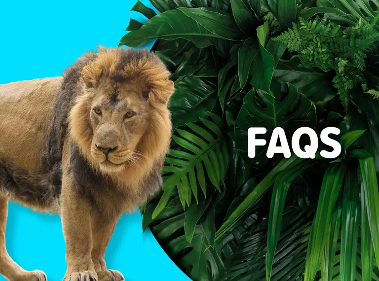 London Zoo Membership FAQs