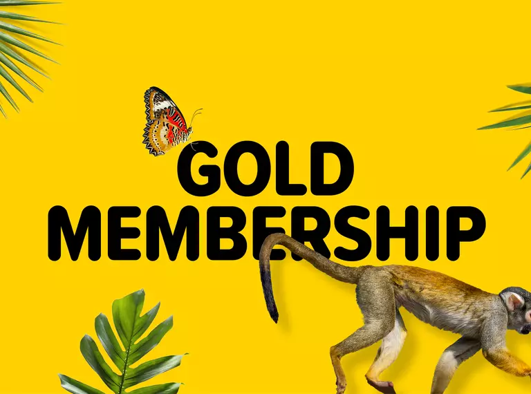 London Zoo Gold Membership