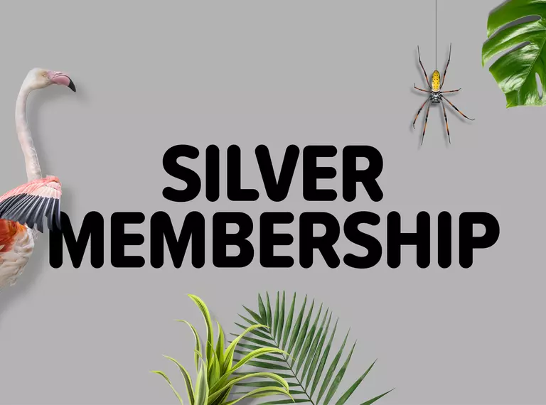 London Zoo Silver Membership