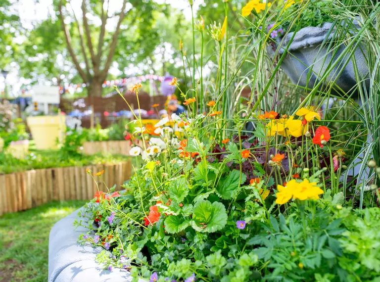 A close up of a flower pot in the foreground, overflowing with colourful flowers, with out of focus festival bunting and a garden in the background