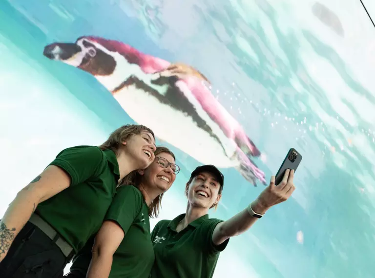 Zookeepers take selfie in-front of the zoo's own Olympic swimmer, Rainbow the Humboldt penguin