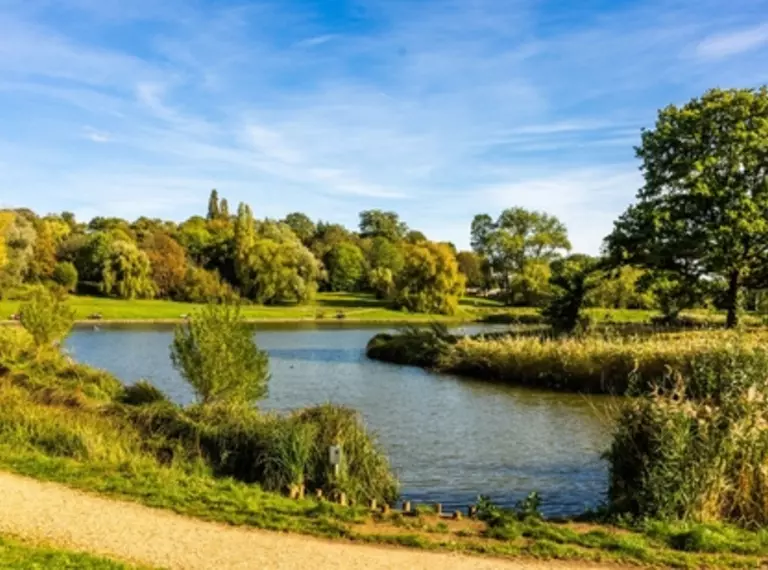 Lake and trees at Hampstead Heath