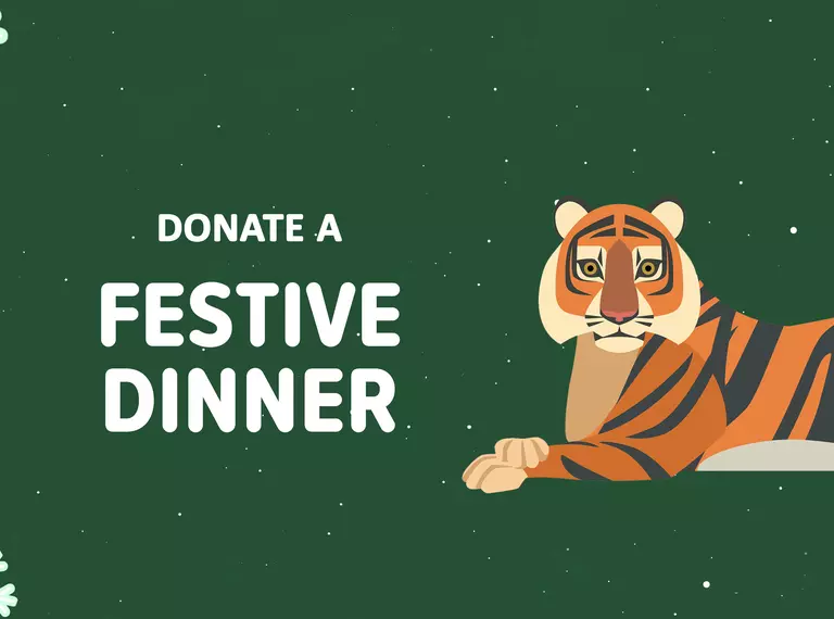 Donate a festive dinner