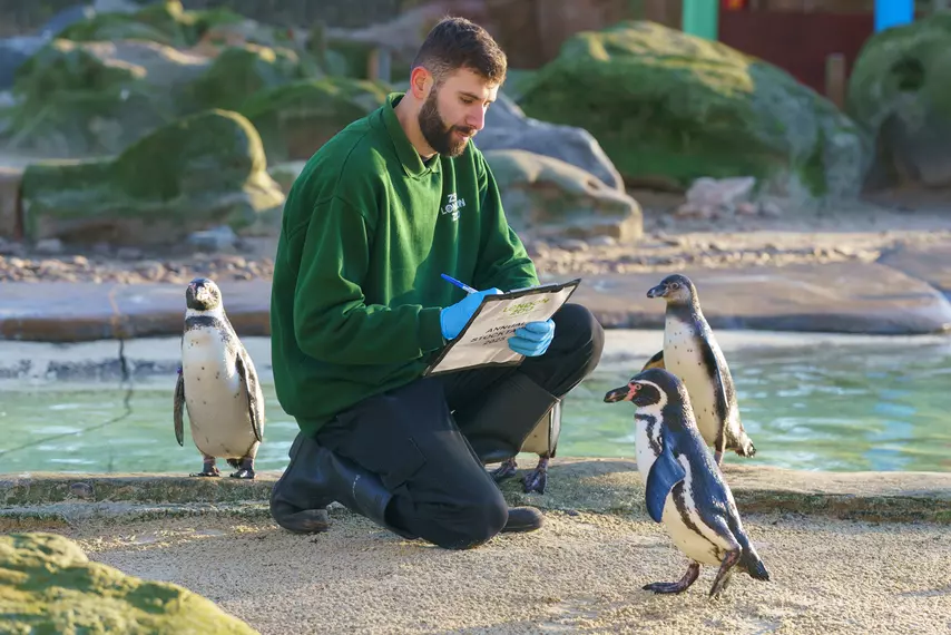 London Zookeeper stocktake