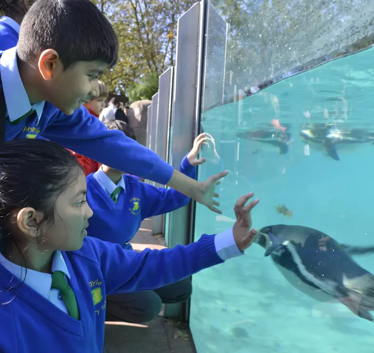 Two students visitng the penguins at London Zoo
