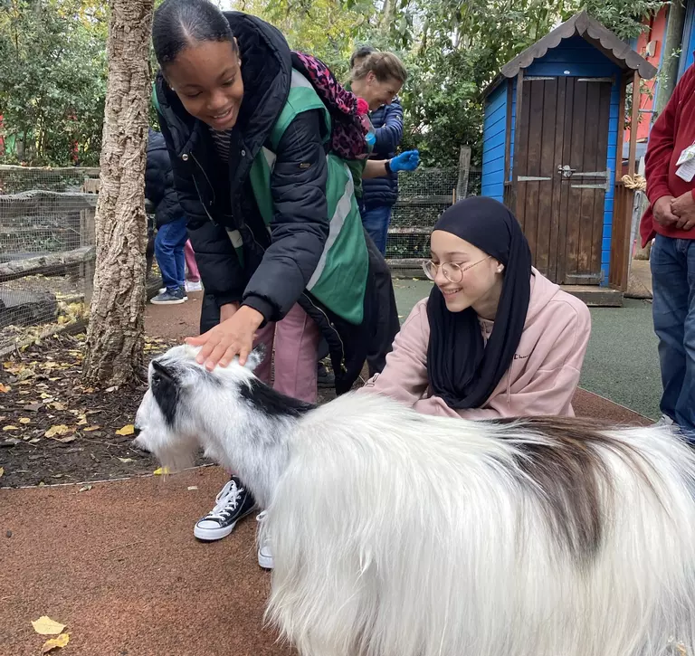 Students stroking a goat