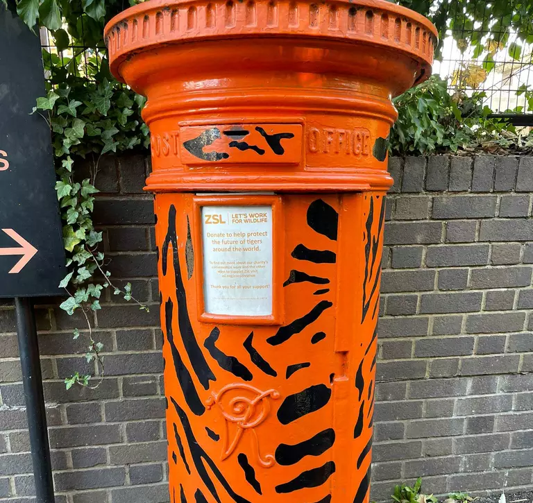 London zoo donation box