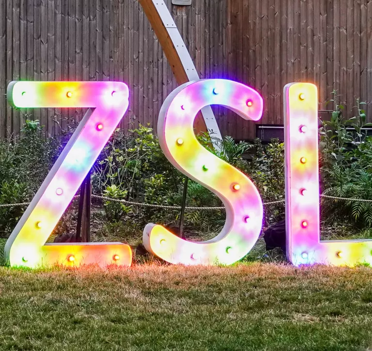 Light up rainbow ZSL 