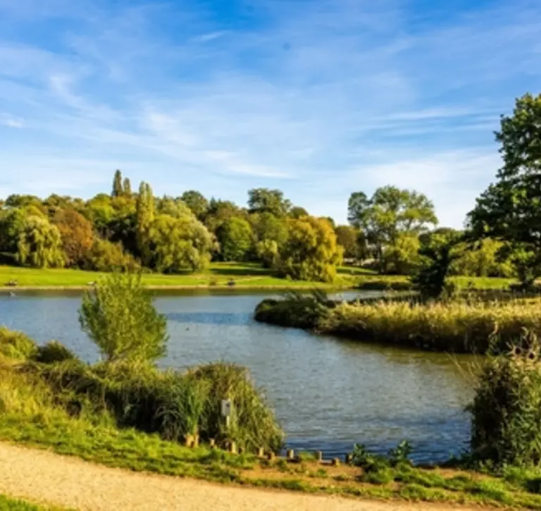 Lake and trees at Hampstead Heath