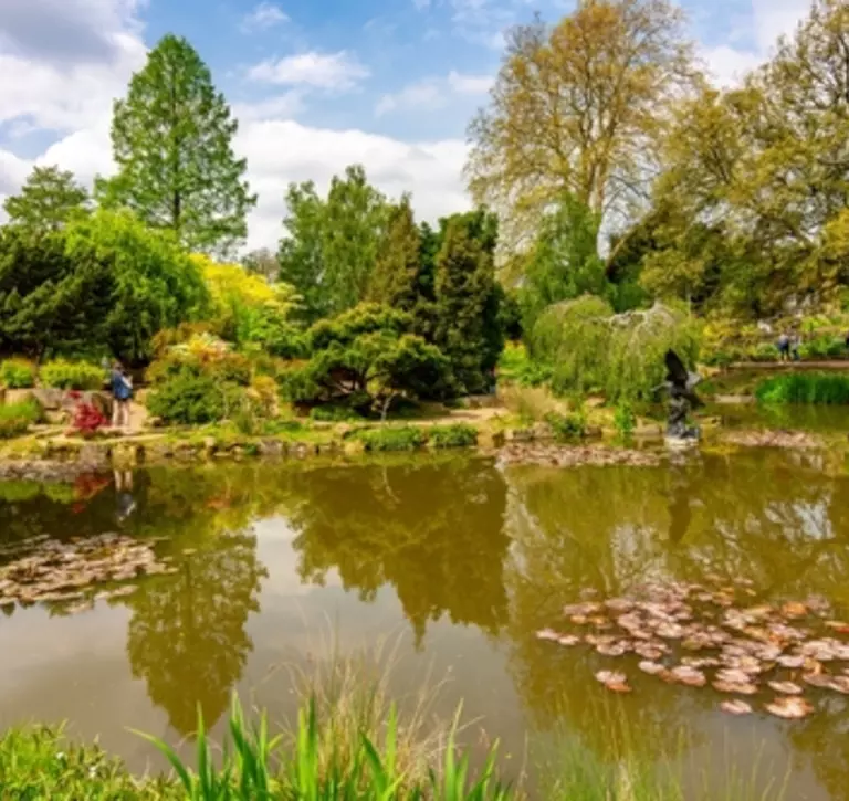 Regents Park landscape in spring